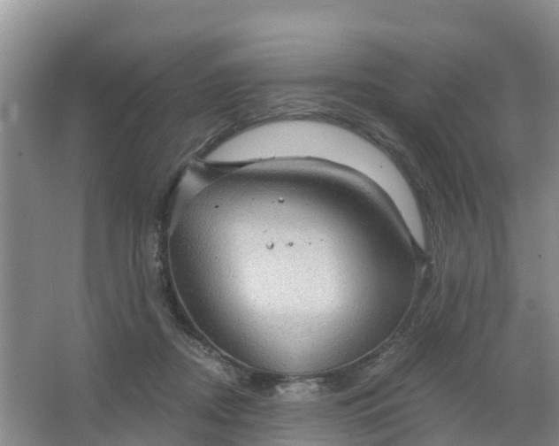 X0000066930362200604071852