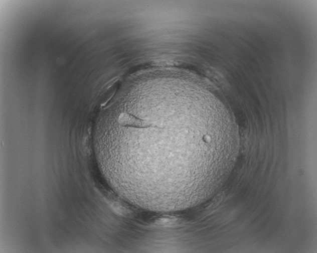 X0000066930364200604071852