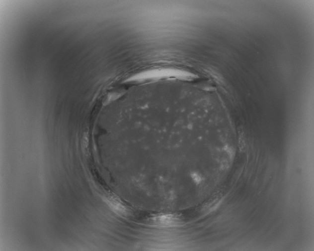 X0000066930365200604071852