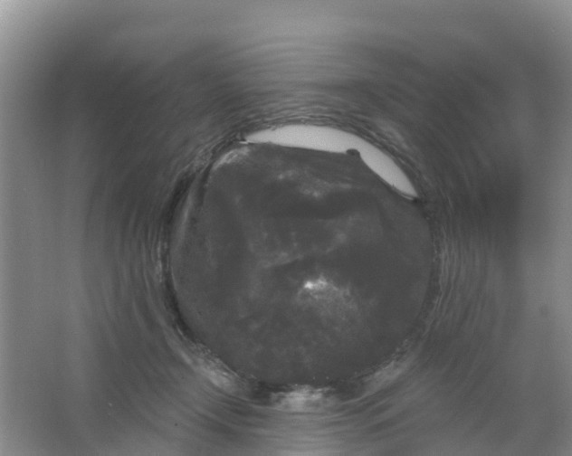 X0000066930366200604071852