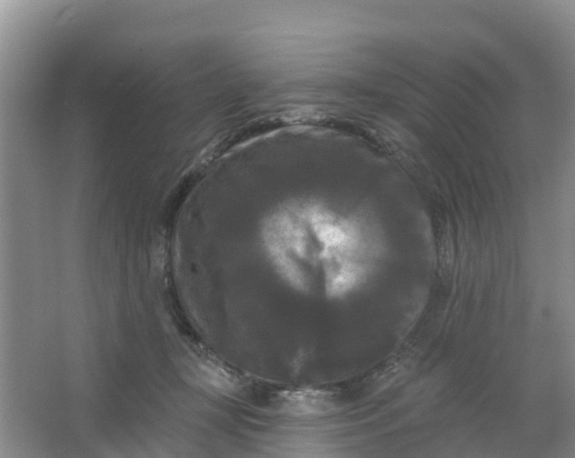 X0000066930367200604071852