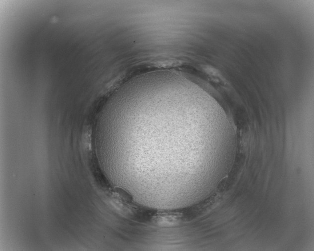 X0000066930368200604071852