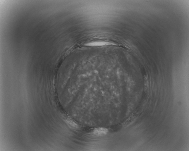 X0000066930369200604071852