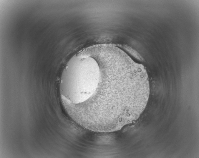 X0000066930370200604071852