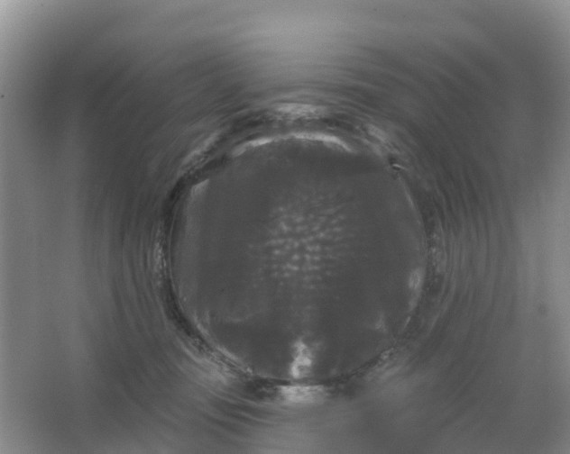 X0000066930371200604071852