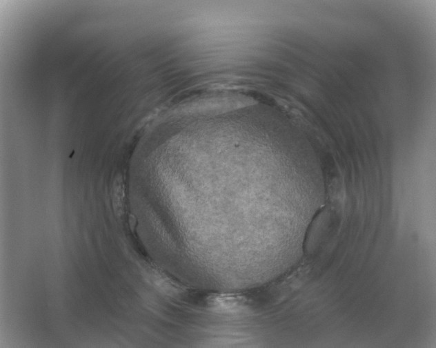 X0000066930372200604071852