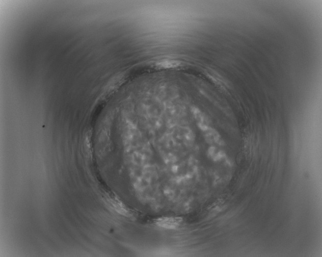 X0000066930373200604071852