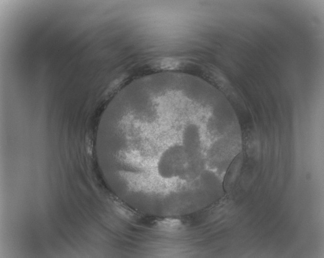 X0000066930374200604071852