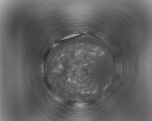 X0000066930375200604071852