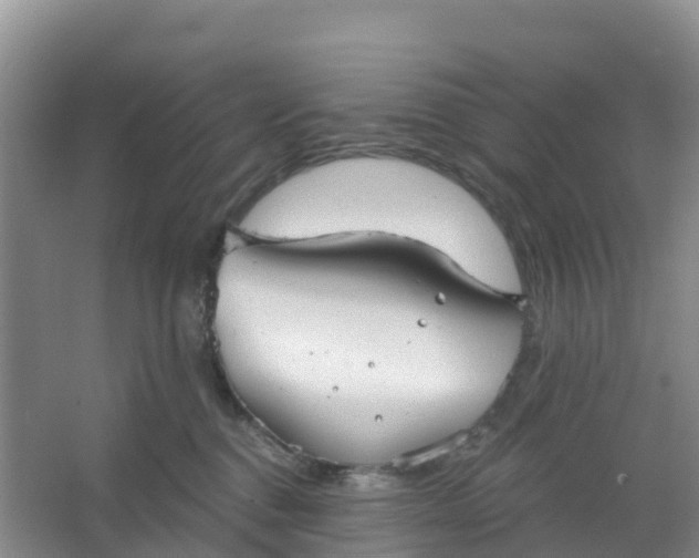 X0000066930376200604071852