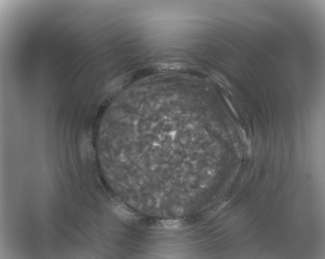 X0000066930377200604071852