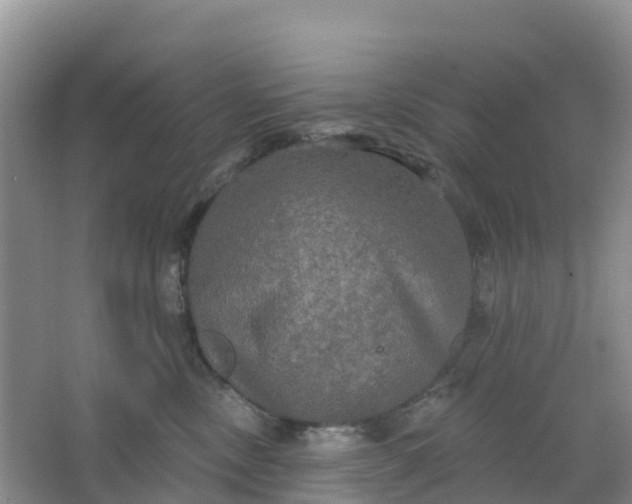 X0000066930378200604071852