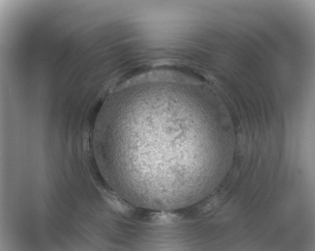 X0000066930379200604071852