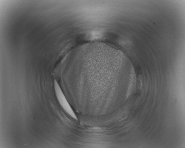 X0000066930380200604071852