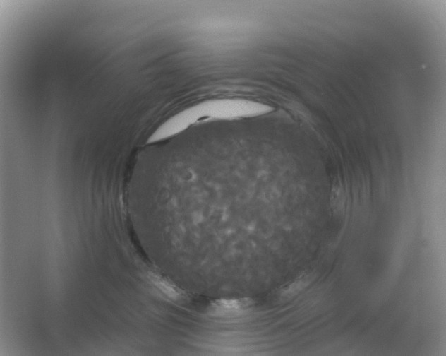 X0000066930381200604071852