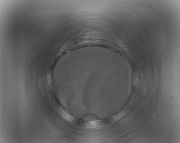 X0000066930382200604071853