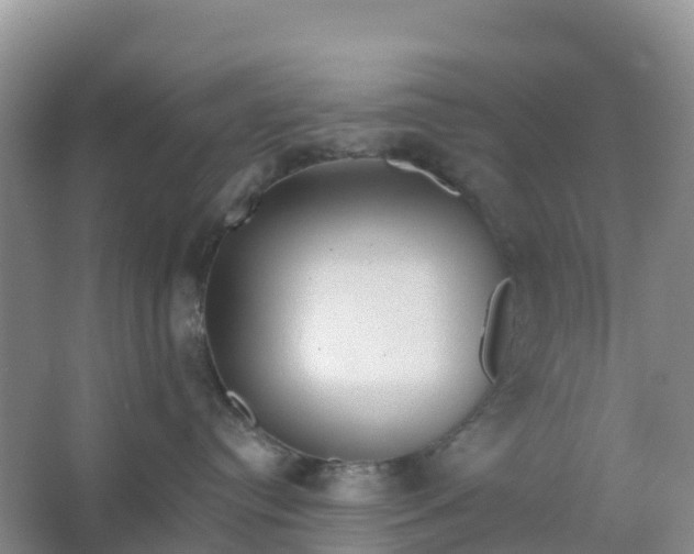 X0000066930384200604071853