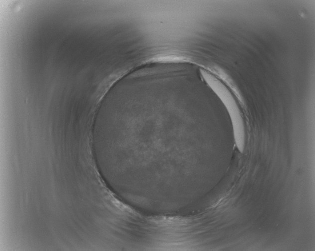 X0000066930385200604071852