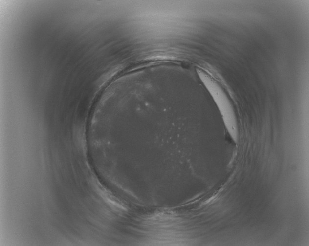 X0000066930386200604071852