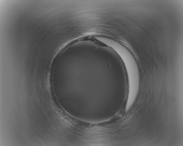 X0000066930387200604071852