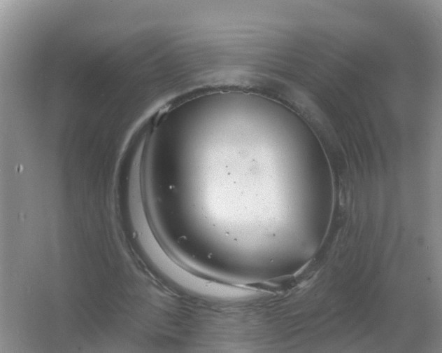 X0000066930388200604071852