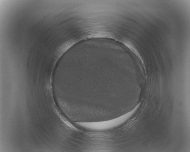 X0000066930389200604071852