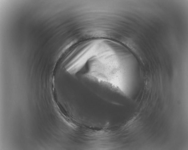 X0000066930390200604071852