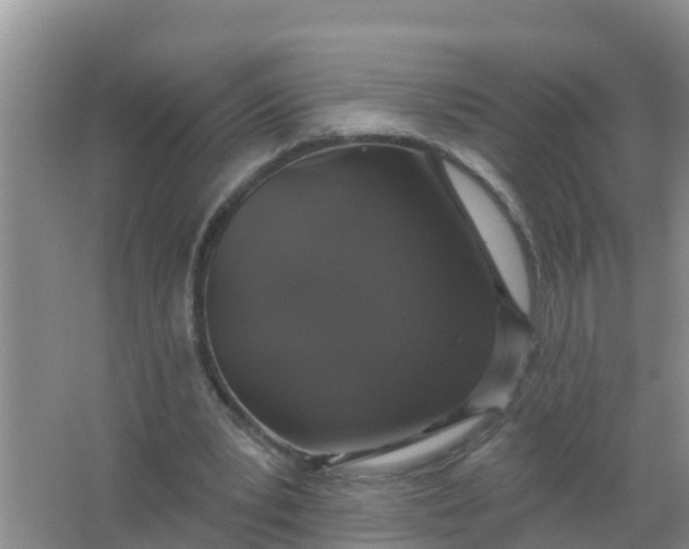 X0000066930391200604071852