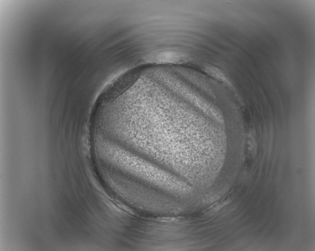 X0000066930392200604071852