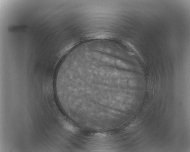 X0000066930394200604071852