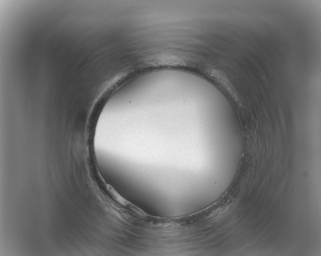 X0000066930395200604071852