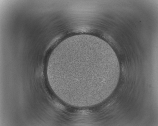 X0000066930396200604071852