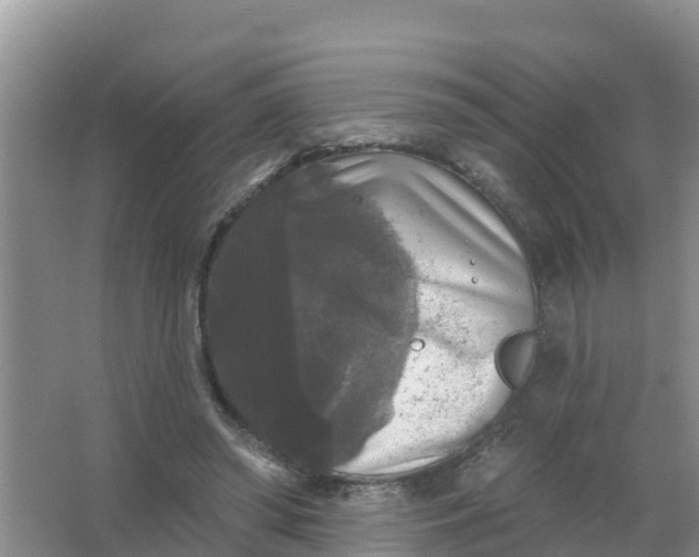 X0000066930398200604071852