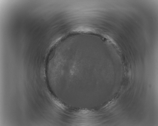 X0000066930399200604071852