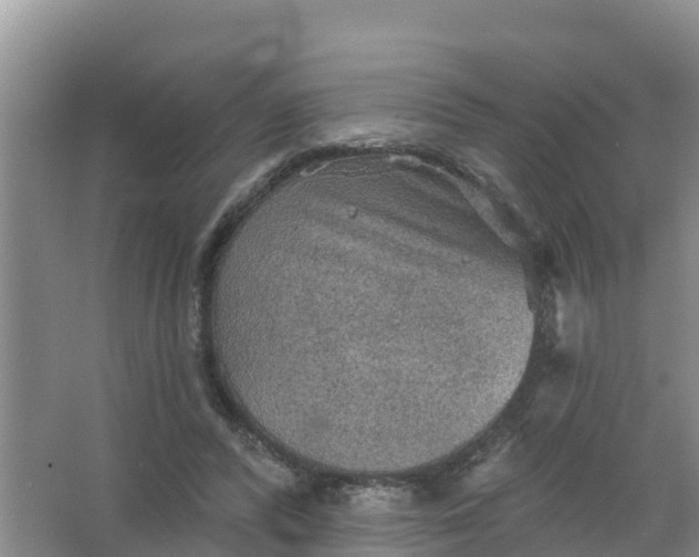 X0000066930400200604071851