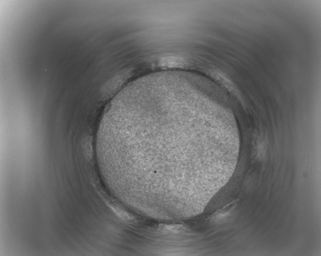 X0000066930401200604071851