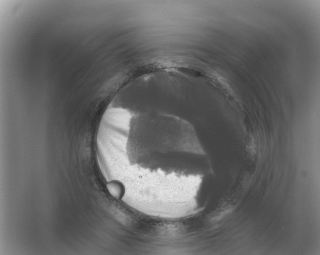 X0000066930402200604071851