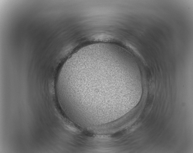 X0000066930403200604071851