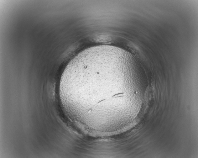 X0000066930404200604071851