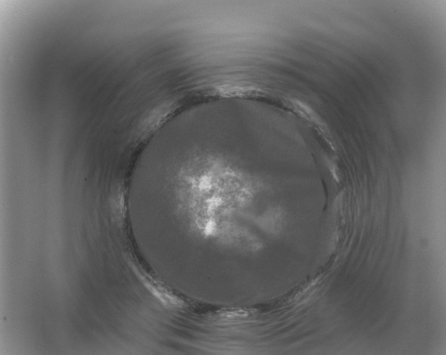 X0000066930405200604071851