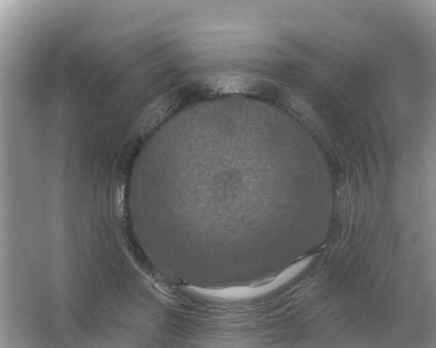 X0000066930406200604071851