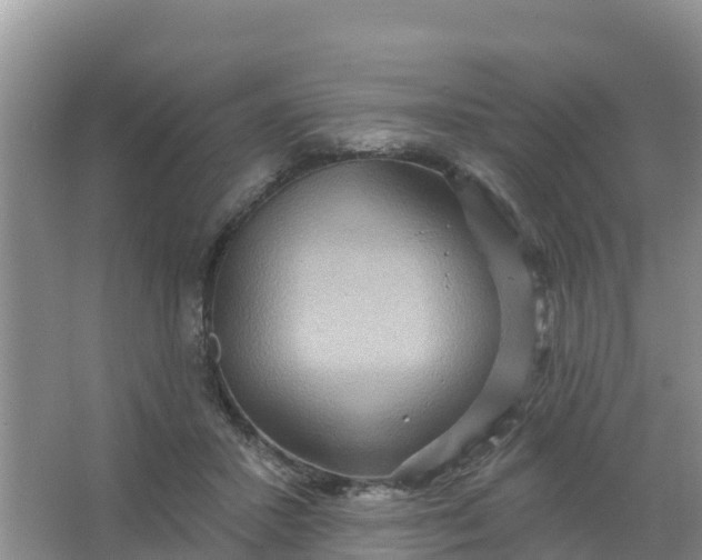 X0000066930407200604071851