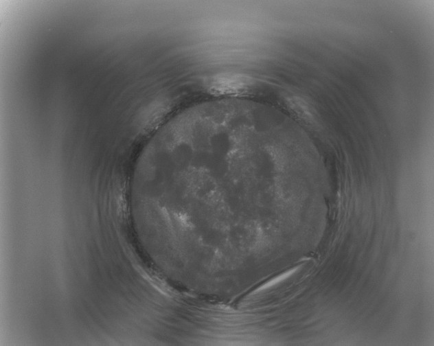 X0000066930408200604071851