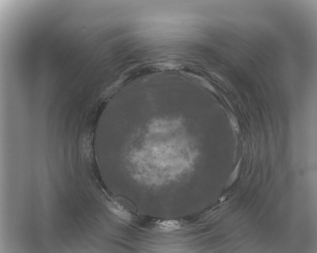 X0000066930409200604071851