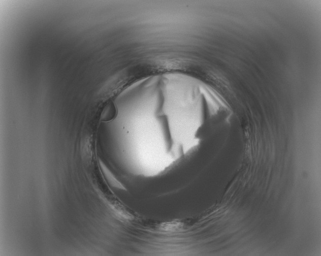 X0000066930410200604071851