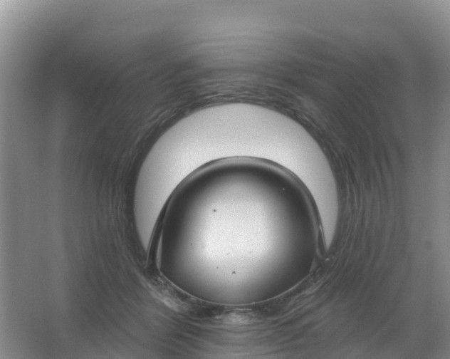 X0000066930412200604071851