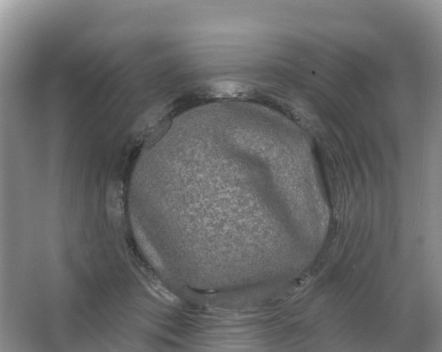 X0000066930413200604071851