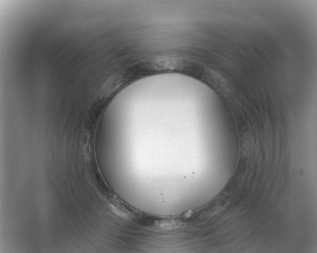 X0000066930414200604071851