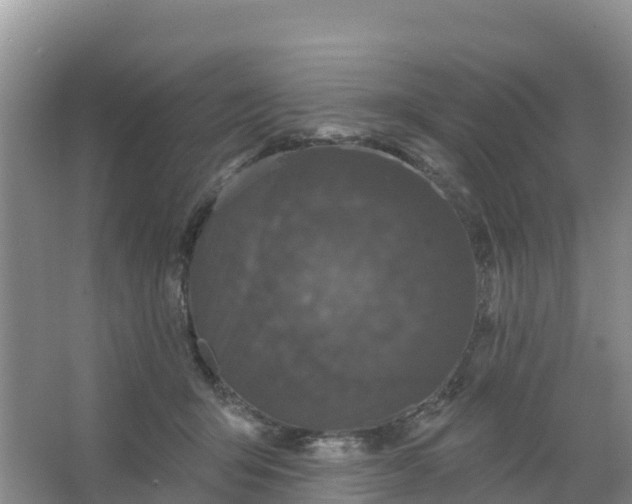 X0000066930415200604071851