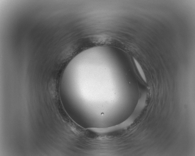 X0000066930416200604071851